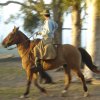 cattle ranching