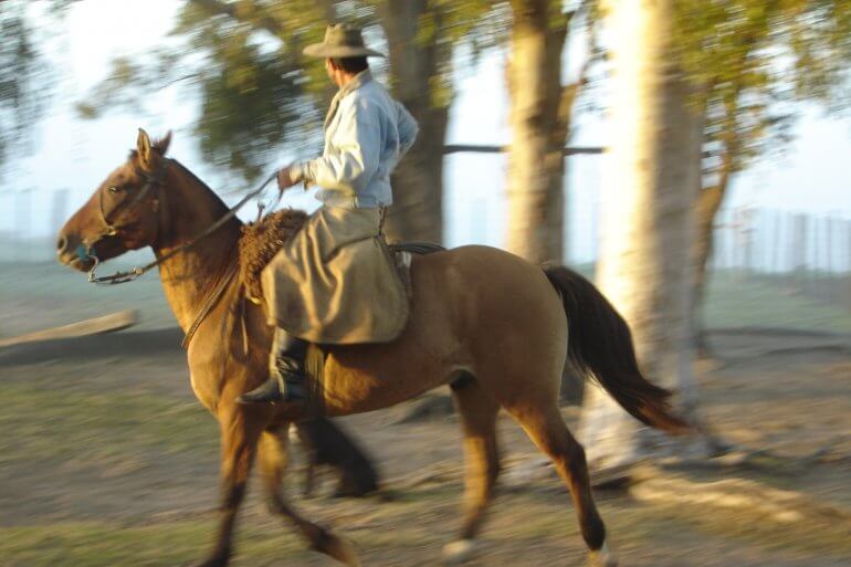 cattle ranching