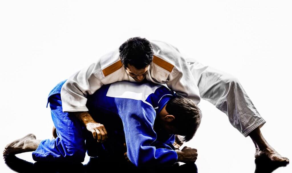 judo techniques