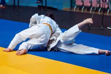 judo techniques