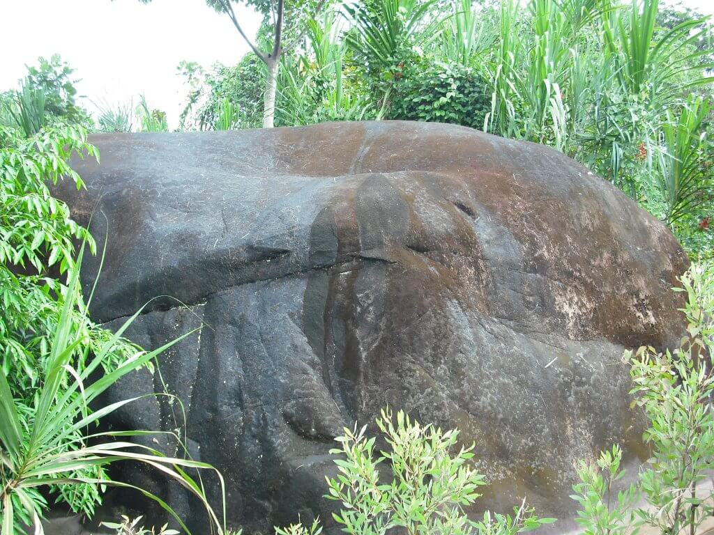 Jinkiori petroglyphs Peru