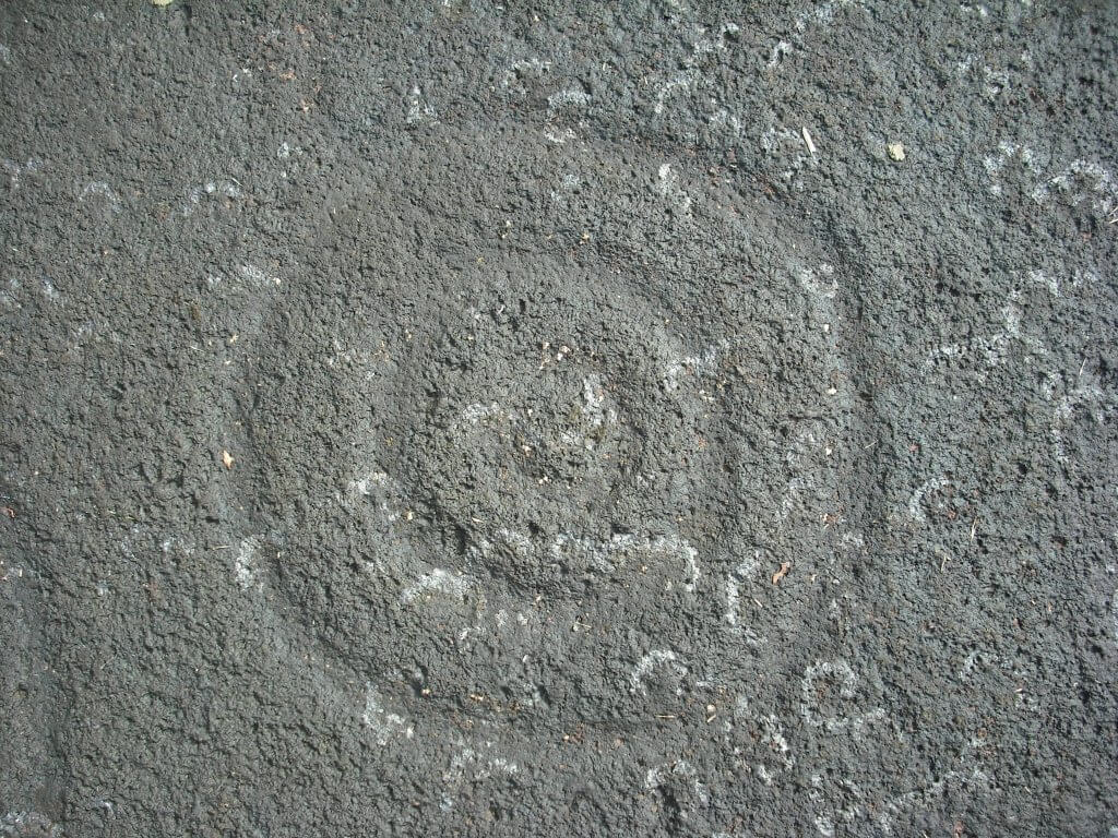 Hinkiori petroglyphs